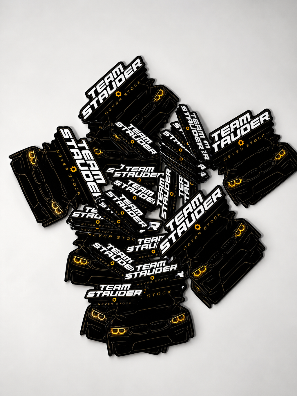 TS Sticker