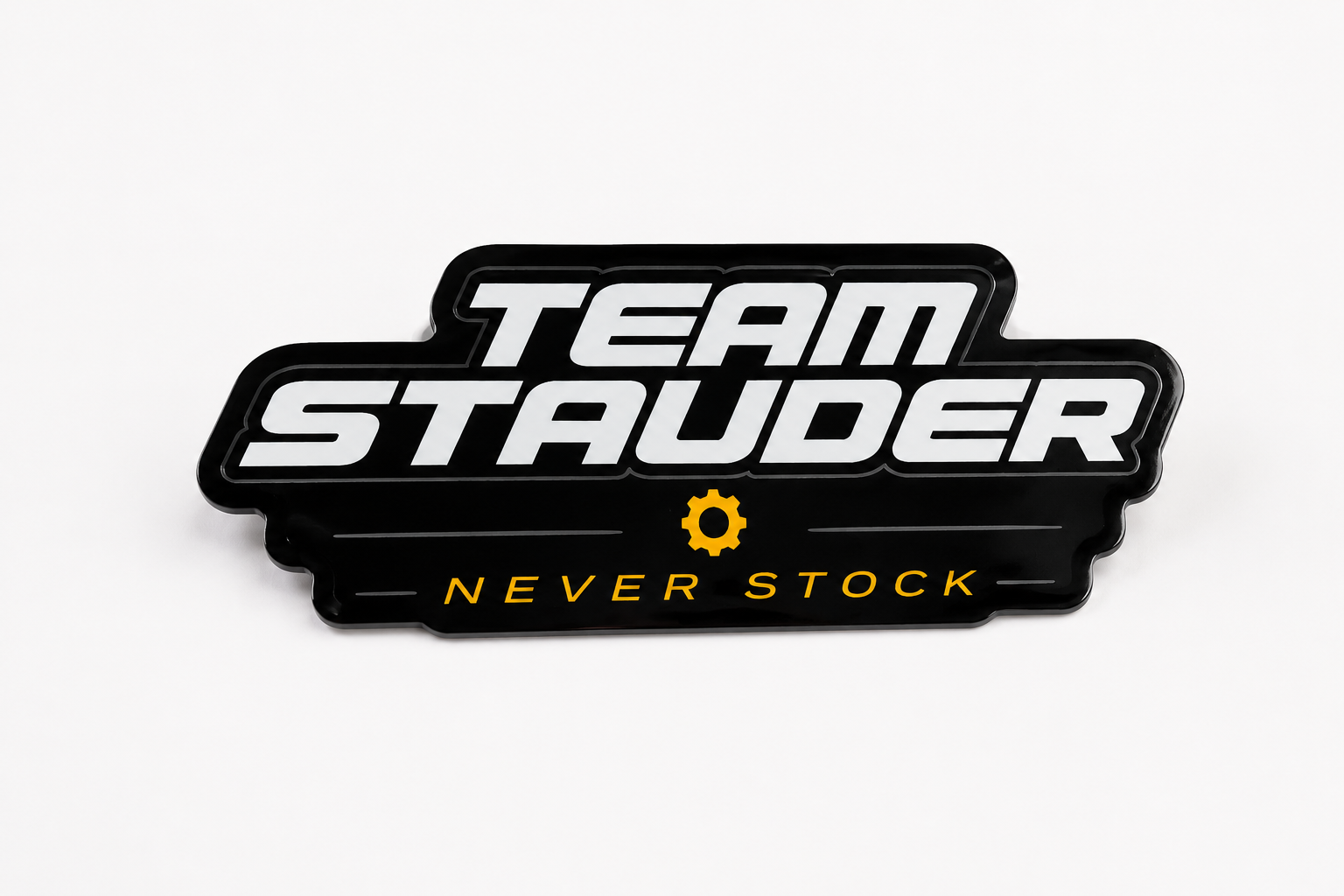 TS Sticker