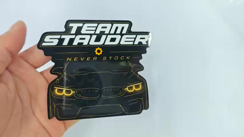 TS Sticker