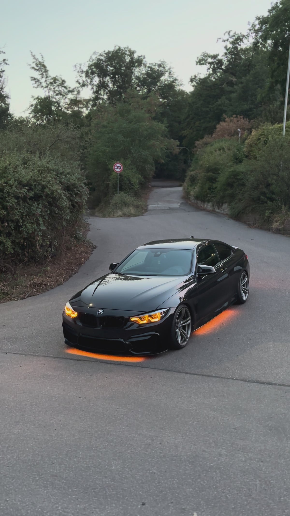 TS Underglow